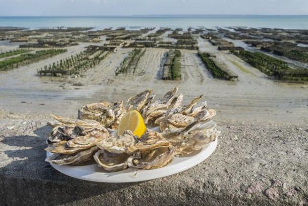 Temporis Saint-Malo : 100 postes pour la saison des huîtres