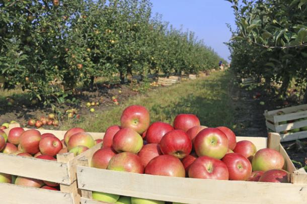 Emplois saisonniers : pensez local !