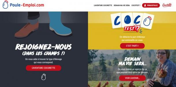 Cocorette lance son site poule-emploi.com pour recruter des éleveurs