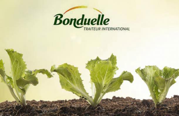 Nord : 250 offres chez Bonduelle