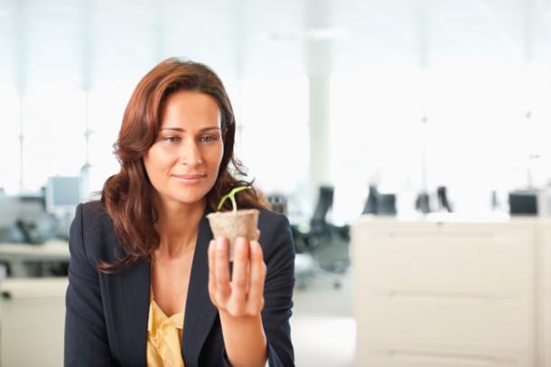 Cinq bonnes raisons d’avoir une plante au bureau